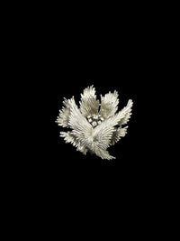 Vintage Trifari Classic Silver Texture Floral Rhinestone Brooch - 24 Wishes Vintage Jewelry